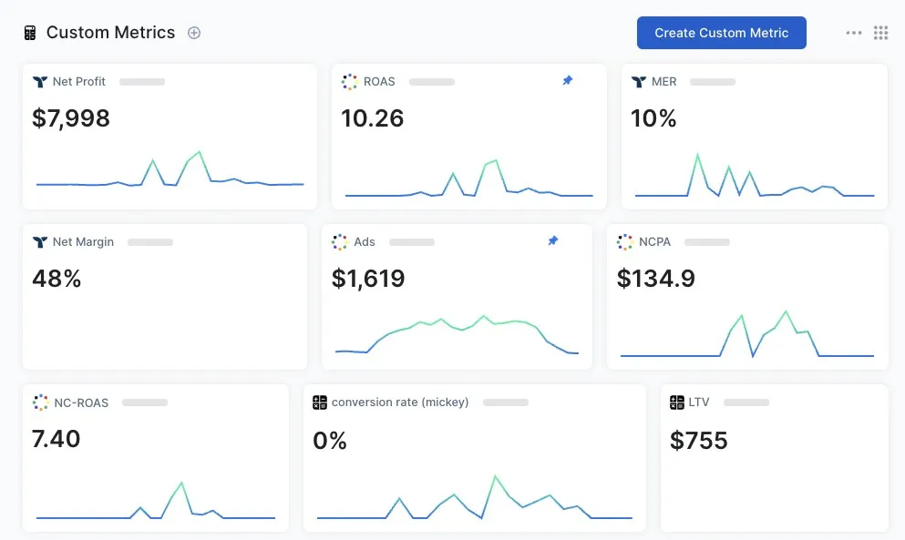 Real Time dashboard fra TripleWhale