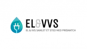El VVS